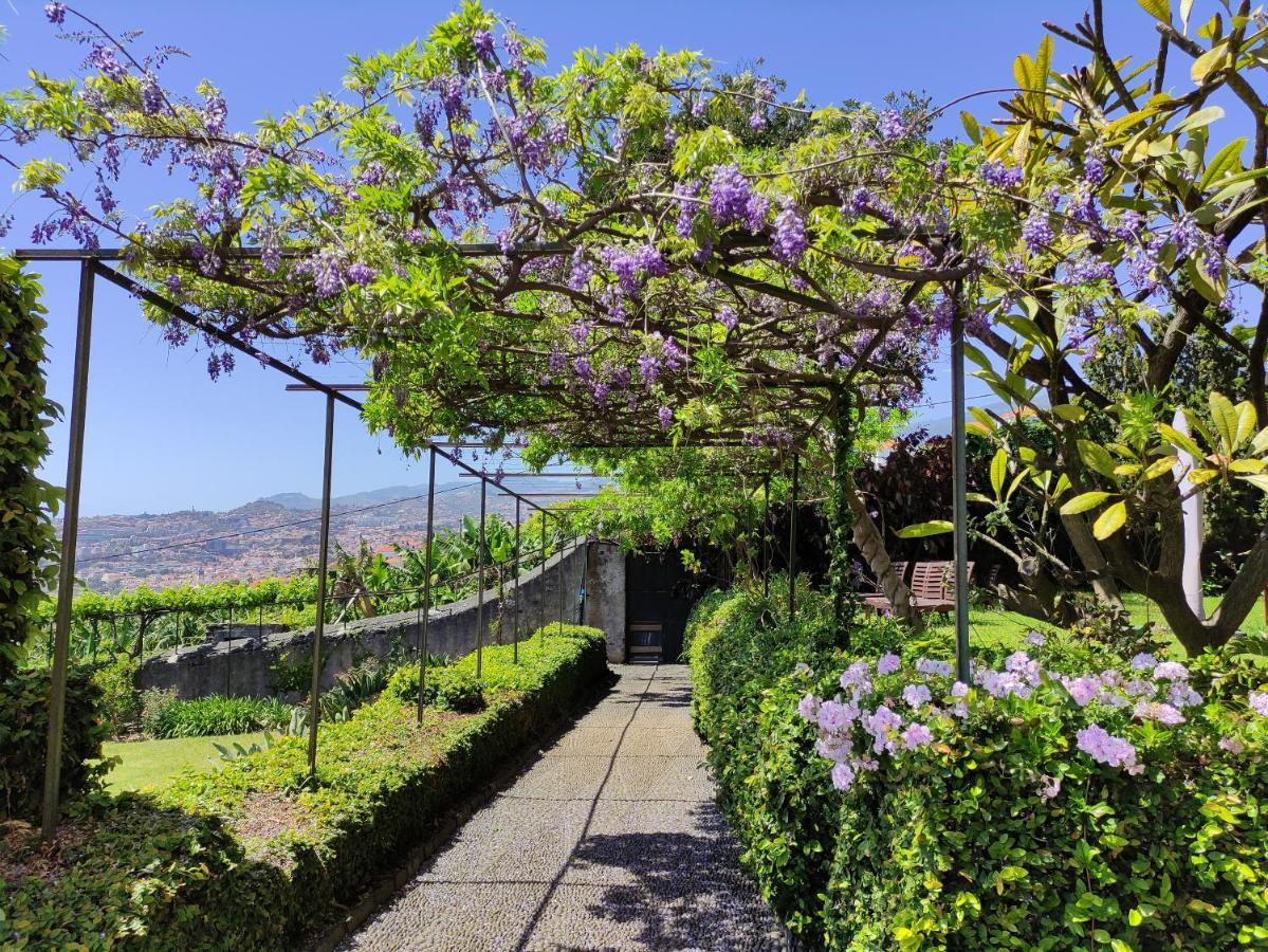 Quinta Sao Goncalo Acomodação com café da manhã Funchal  Exterior foto
